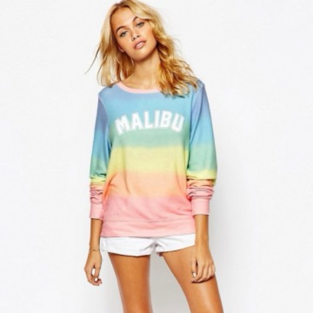 Wildfox Malibu Sweater Crew 🌈